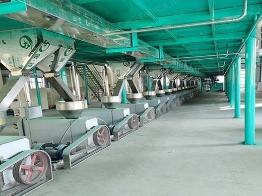 Máquinas expulsoras de aceite para semillas de algodón y nueces de karité en Vietnam