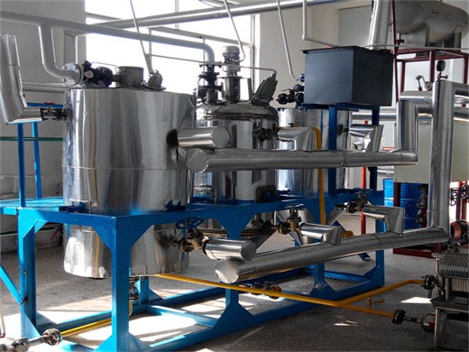 Máquina automática de prensa de filtro de aceite de cocina de maní del fabricante